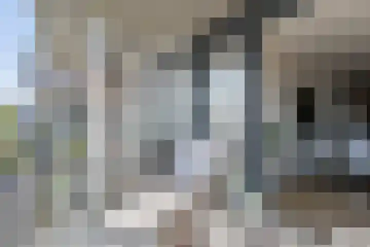 Dubčeksingel 98 Ede thumbnail 17