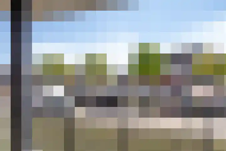 Dubčeksingel 98 Ede thumbnail 19