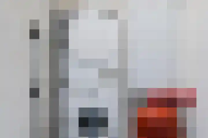 Dubčeksingel 98 Ede thumbnail 20