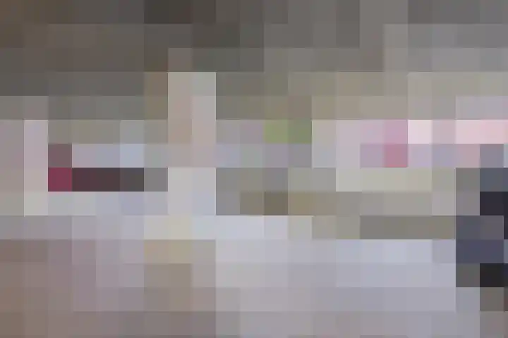 Dubčeksingel 98 Ede thumbnail 24