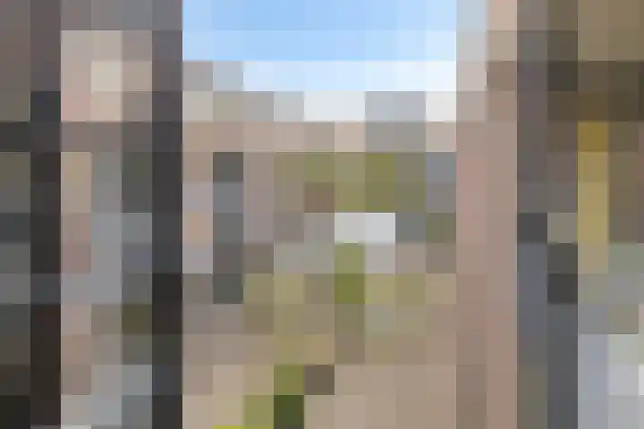 Dubčeksingel 98 Ede thumbnail 26