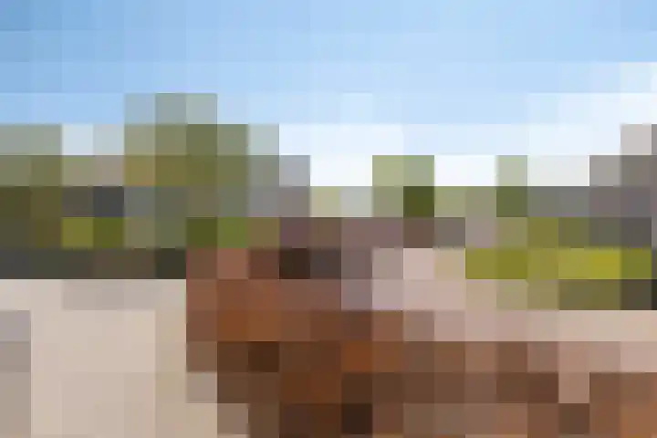Dubčeksingel 98 Ede thumbnail 33
