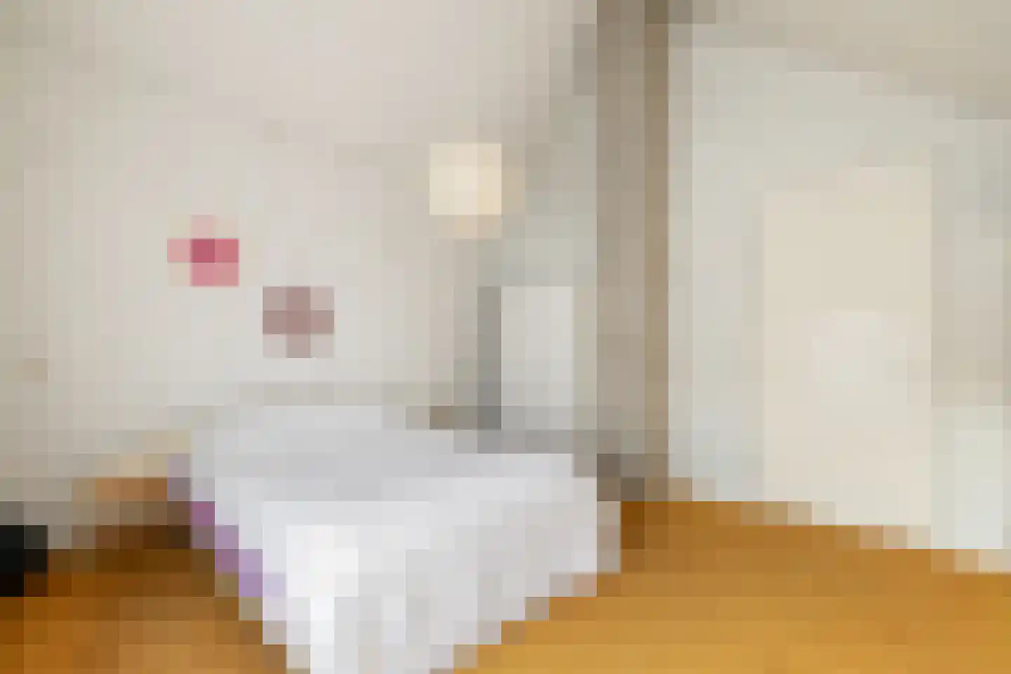 Dubčeksingel 98 Ede thumbnail 5