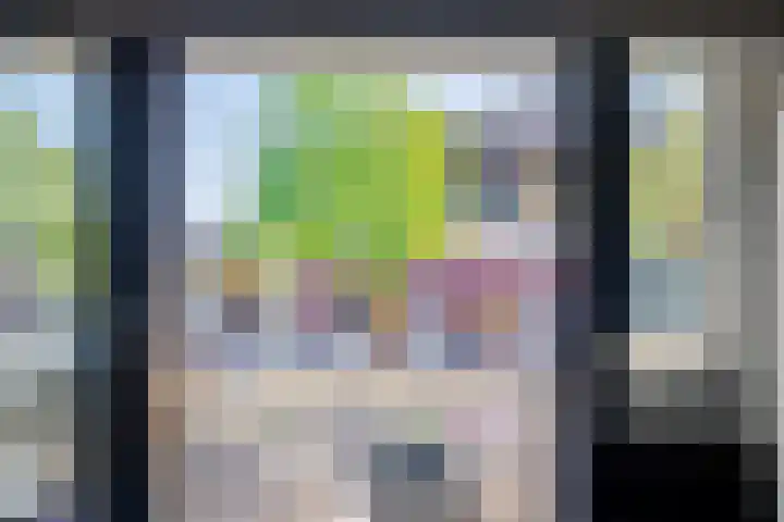 Dubčeksingel 98 Ede thumbnail 7