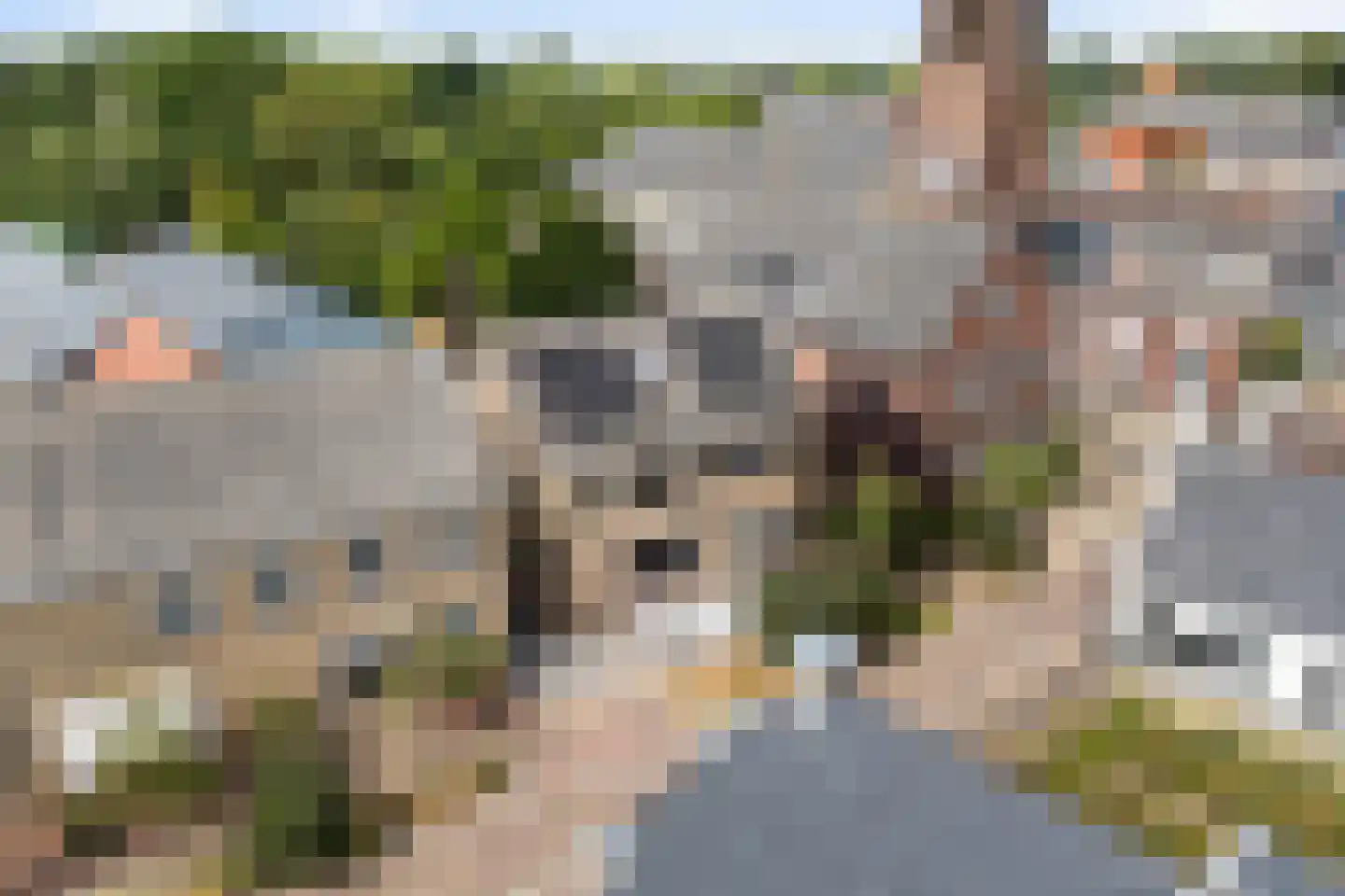 Dûbelestreek 18 Dronryp thumbnail 100