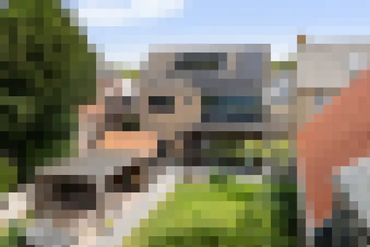 Dûbelestreek 18 Dronryp thumbnail 107