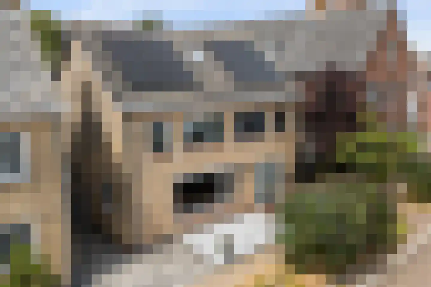 Dûbelestreek 18 Dronryp thumbnail 12