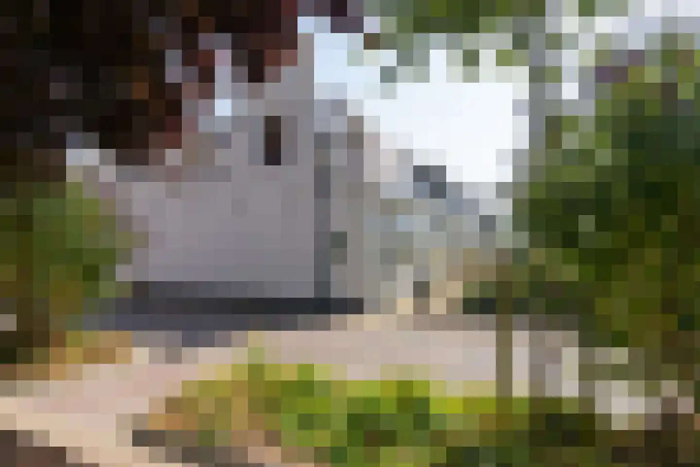 Dûbelestreek 18 Dronryp thumbnail 17