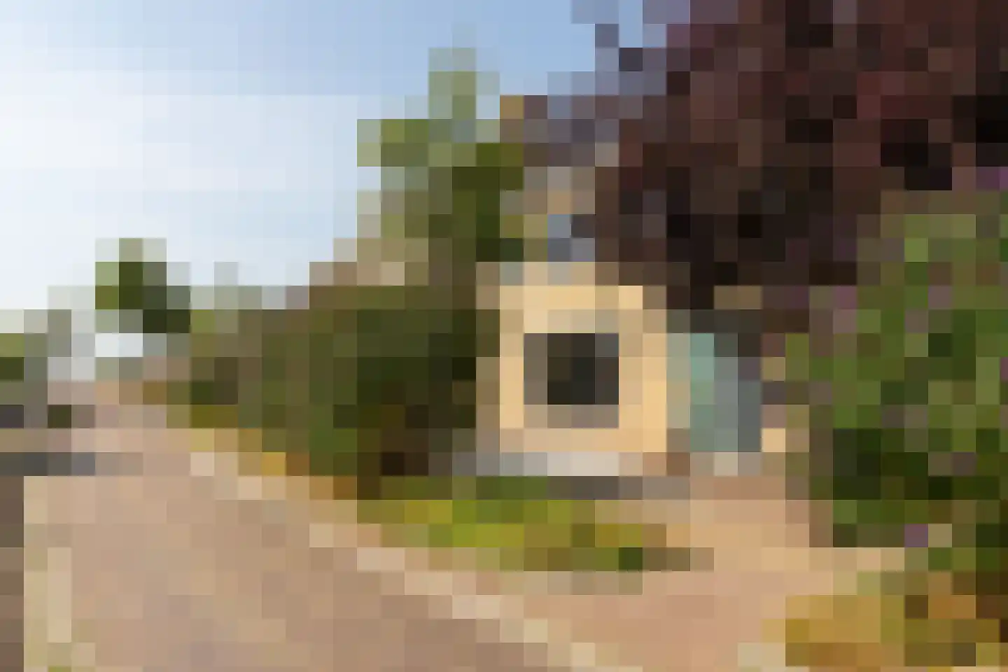 Dûbelestreek 18 Dronryp thumbnail 97