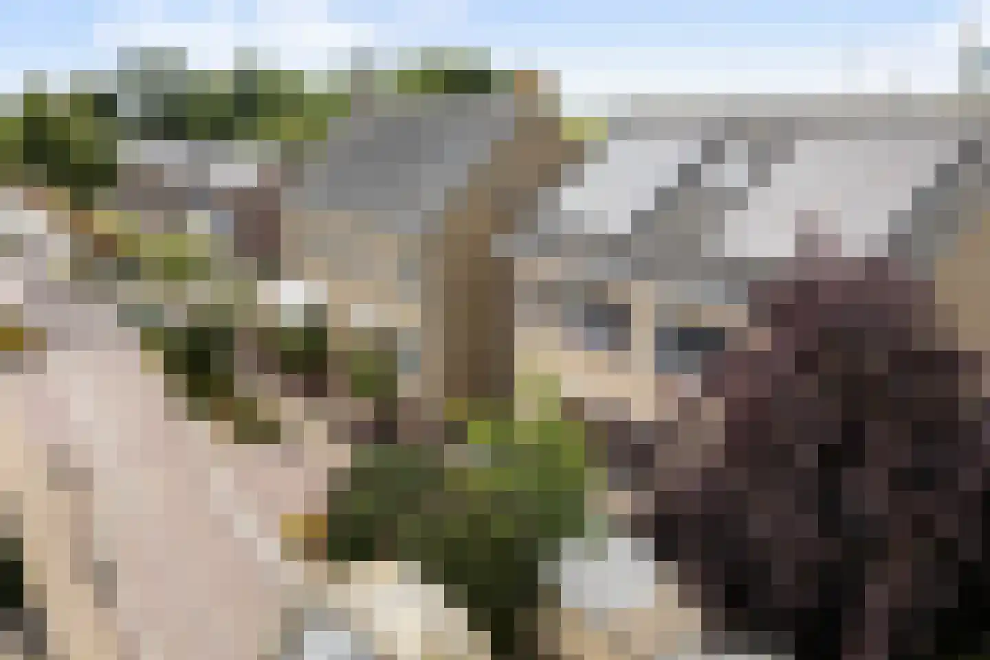 Dûbelestreek 18 Dronryp thumbnail 99