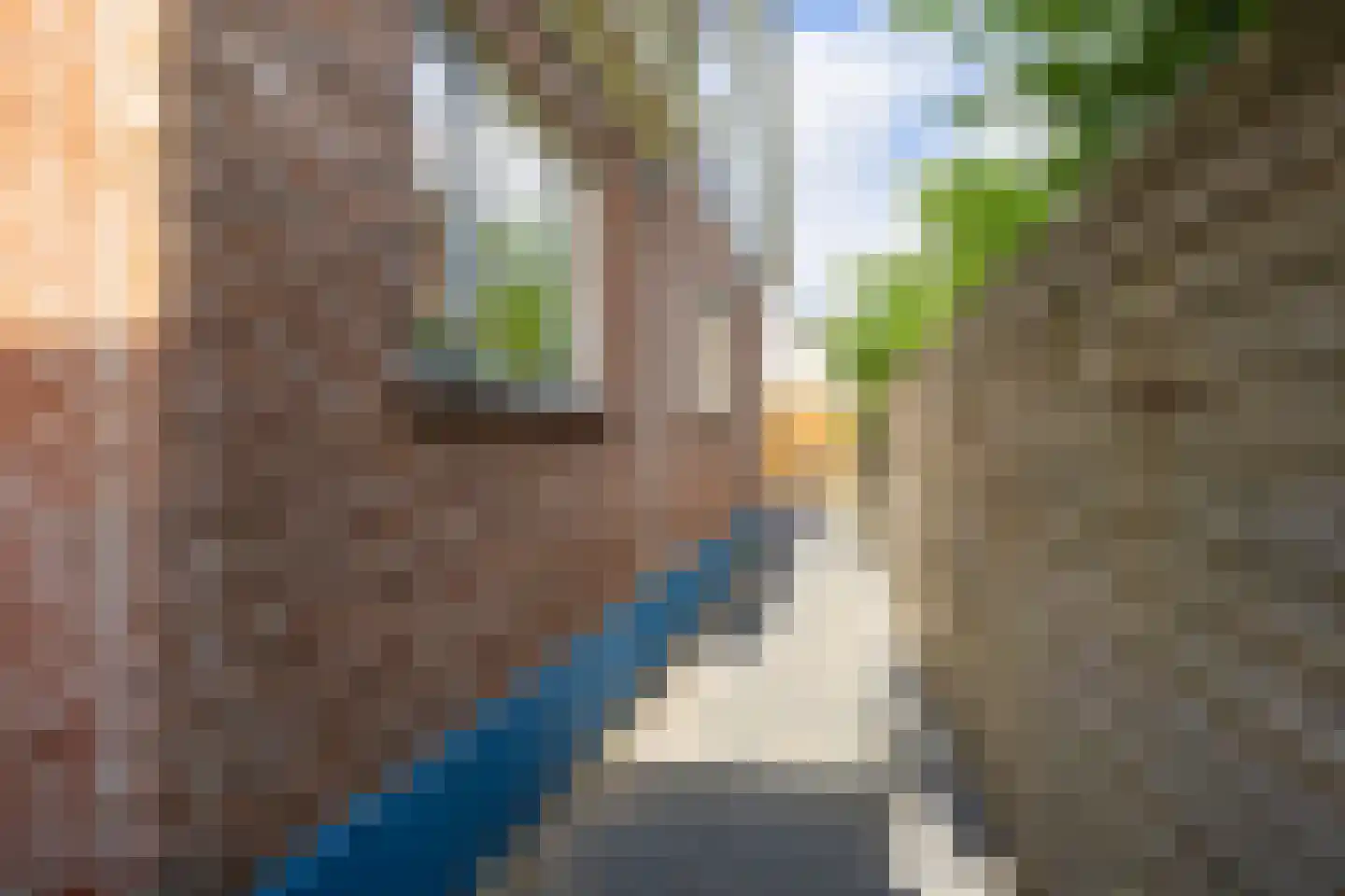 Dûbelestreek 33 Dronryp thumbnail 33