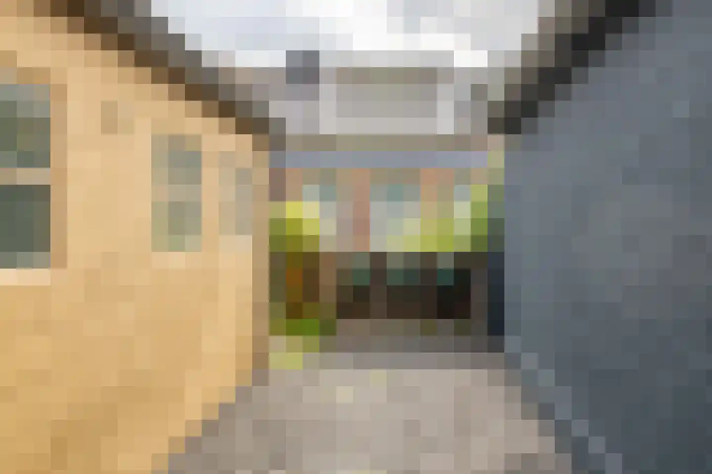 Dûbelestreek 33 Dronryp thumbnail 36