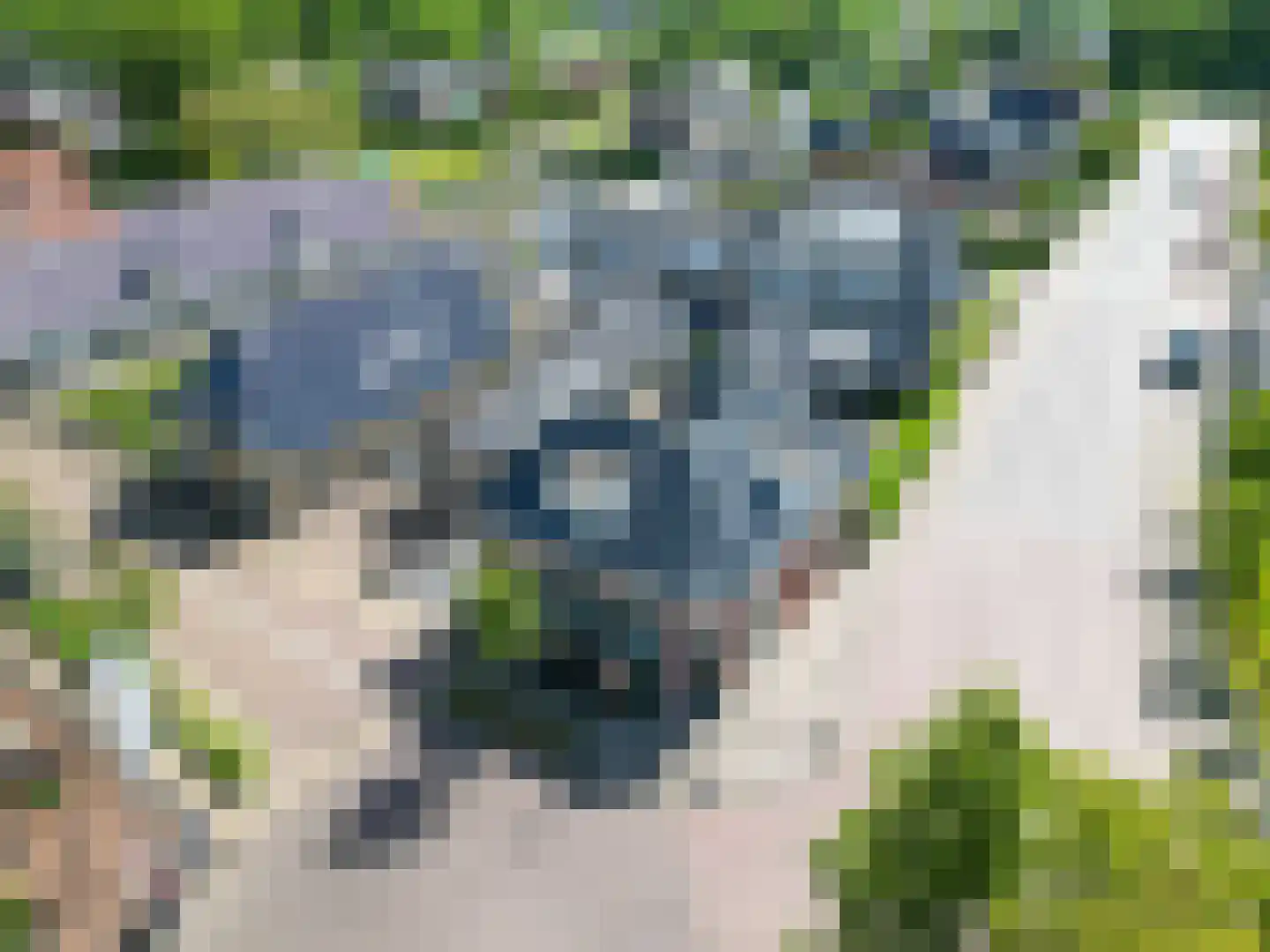 Dûbelestreek 41 Dronryp thumbnail 11