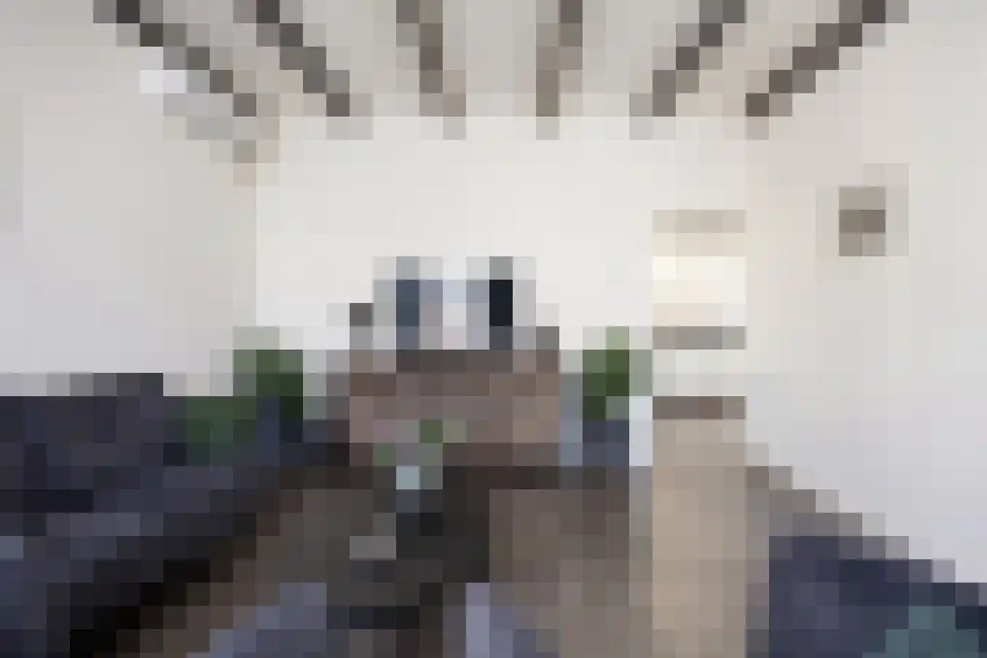 Dûbelestreek 41 Dronryp thumbnail 25