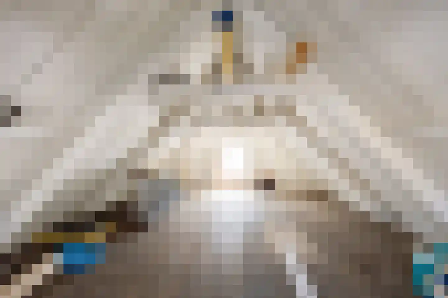 Dûbelestreek 41 Dronryp thumbnail 60