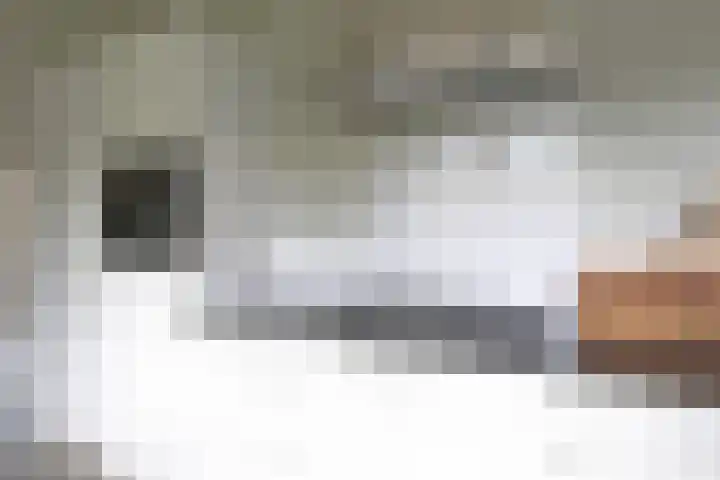 Dûbelspul 12 Surhuisterveen thumbnail 15