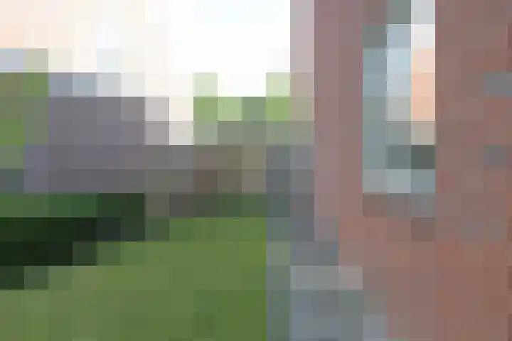 Dûbelspul 12 Surhuisterveen thumbnail 27