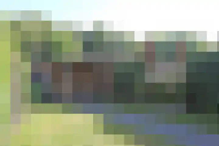 Dûbelspul 12 Surhuisterveen thumbnail 28