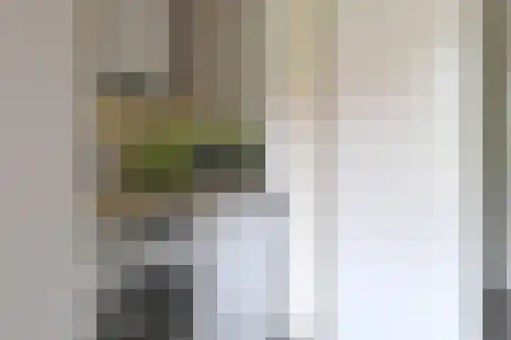 Dûbelspul 13 Surhuisterveen thumbnail 12