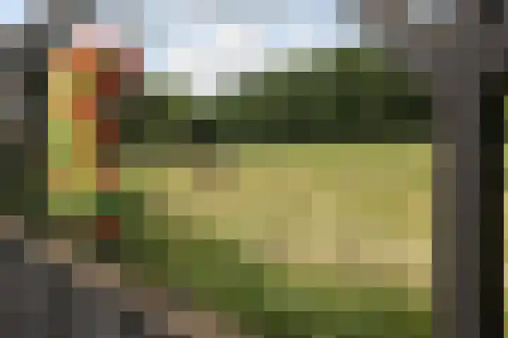 Dûbelspul 13 Surhuisterveen thumbnail 23