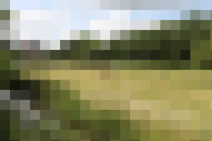 Dûbelspul 13 Surhuisterveen thumbnail 24