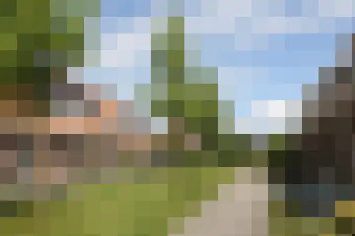 Dûbelspul 13 Surhuisterveen thumbnail 6