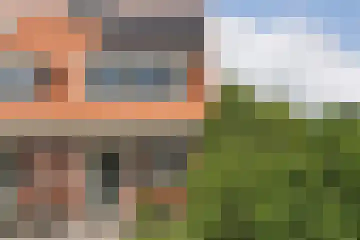 Dûbelspul 13 Surhuisterveen thumbnail 7
