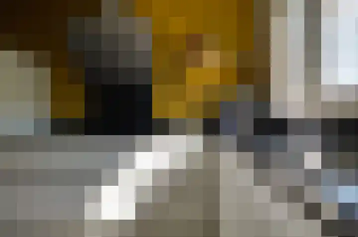 Dûbelspul 7 Surhuisterveen thumbnail 15