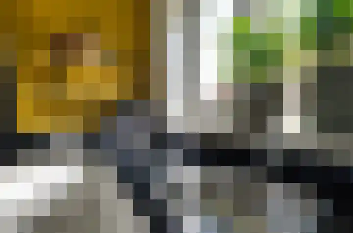 Dûbelspul 7 Surhuisterveen thumbnail 16
