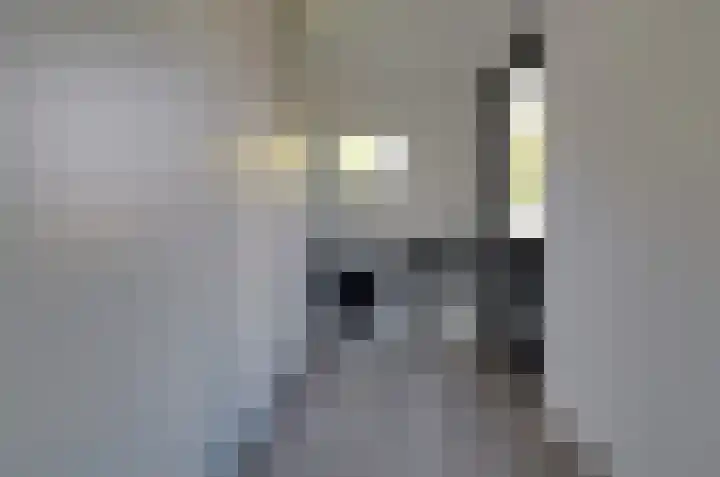 Dûbelspul 7 Surhuisterveen thumbnail 18