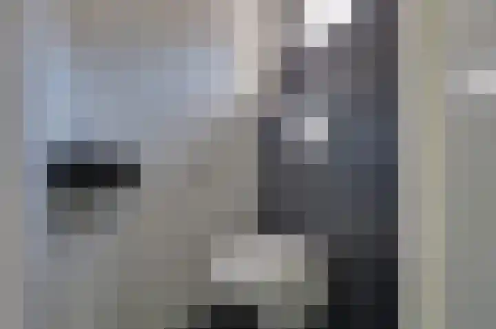 Dûbelspul 7 Surhuisterveen thumbnail 22