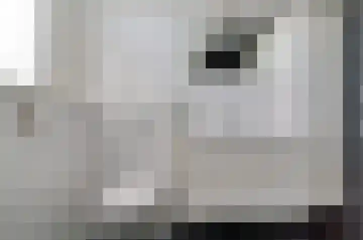 Dûbelspul 7 Surhuisterveen thumbnail 33