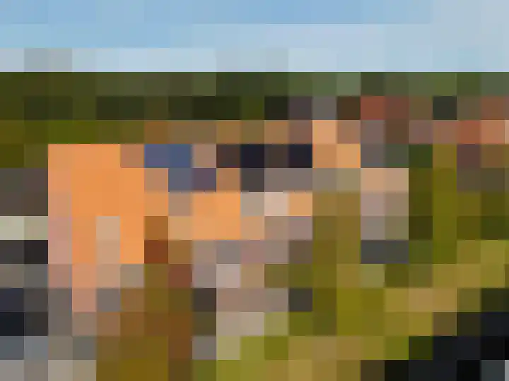Dûbelspul 7 Surhuisterveen thumbnail 46