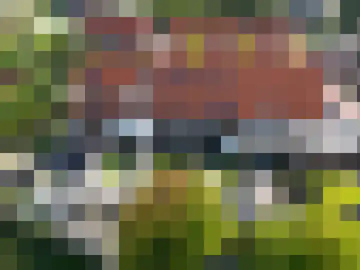 Dûbelspul 7 Surhuisterveen thumbnail 47