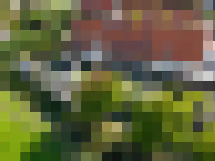 Dûbelspul 7 Surhuisterveen thumbnail 5
