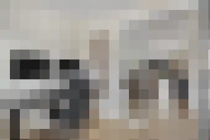 Dublinstraat 11 Hengelo thumbnail 16