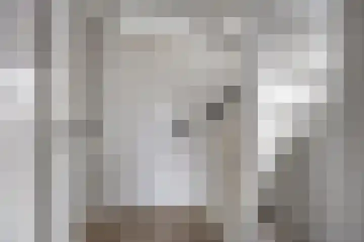 Dublinstraat 11 Hengelo thumbnail 26
