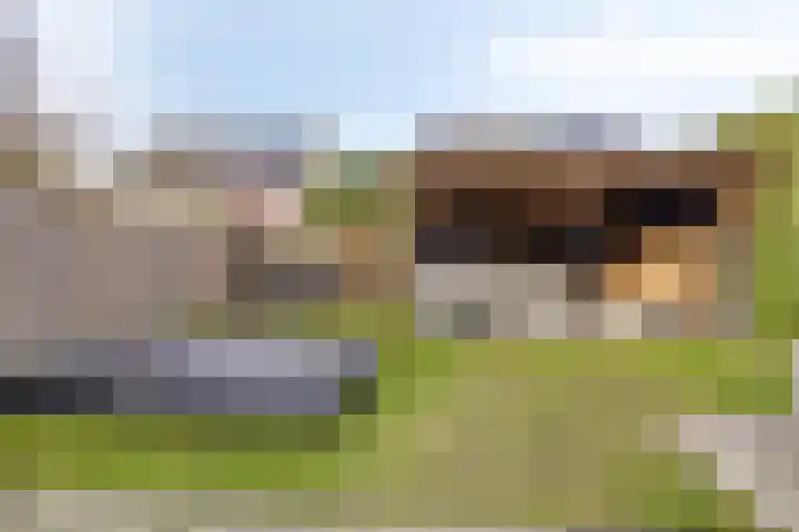 Dublinstraat 11 Hengelo thumbnail 38