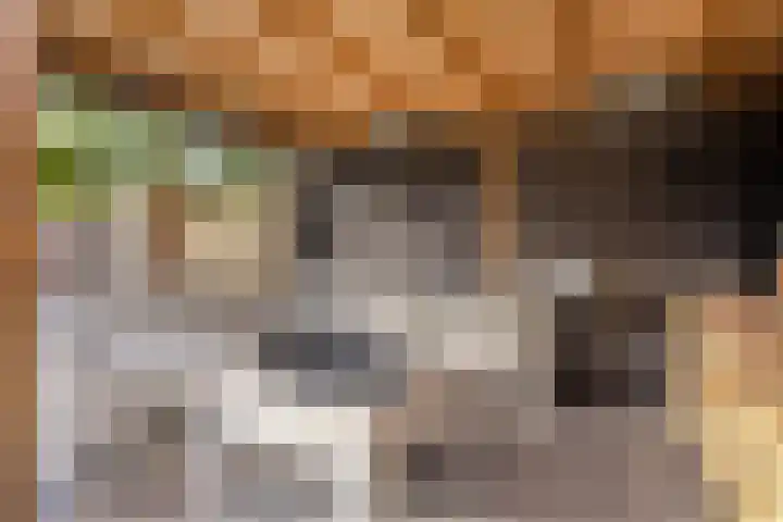 Dublinstraat 11 Hengelo thumbnail 39