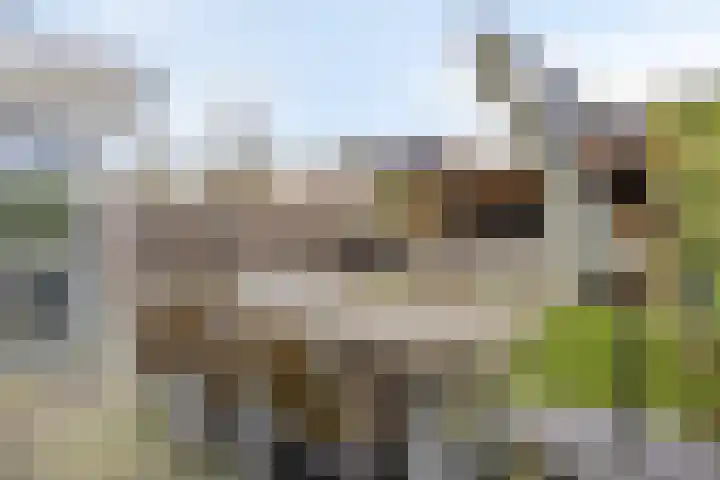 Dublinstraat 11 Hengelo thumbnail 4