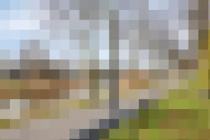 Dublinstraat 11 Hengelo thumbnail 44