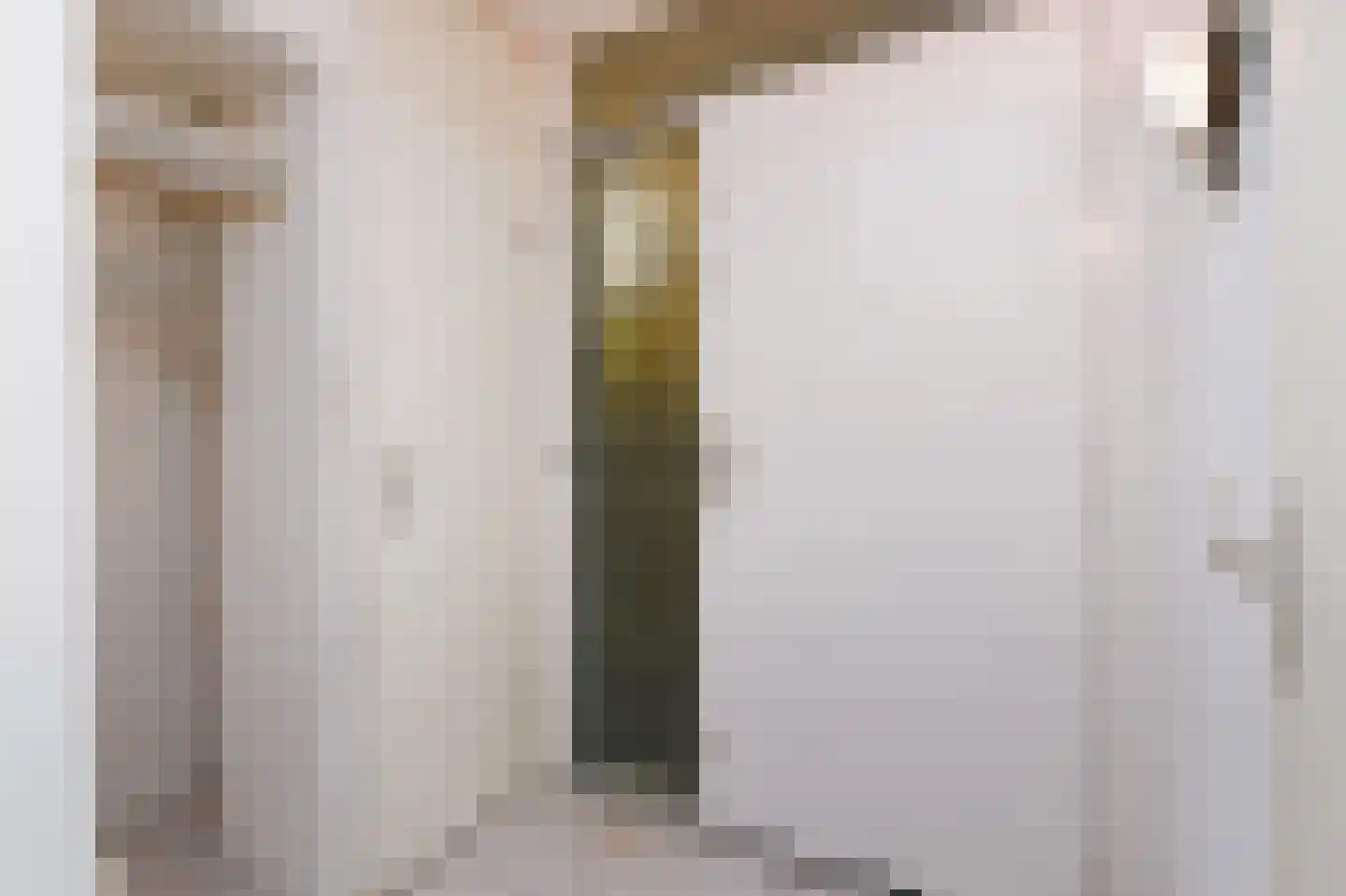 Dublinstraat 123 Zoetermeer thumbnail 11