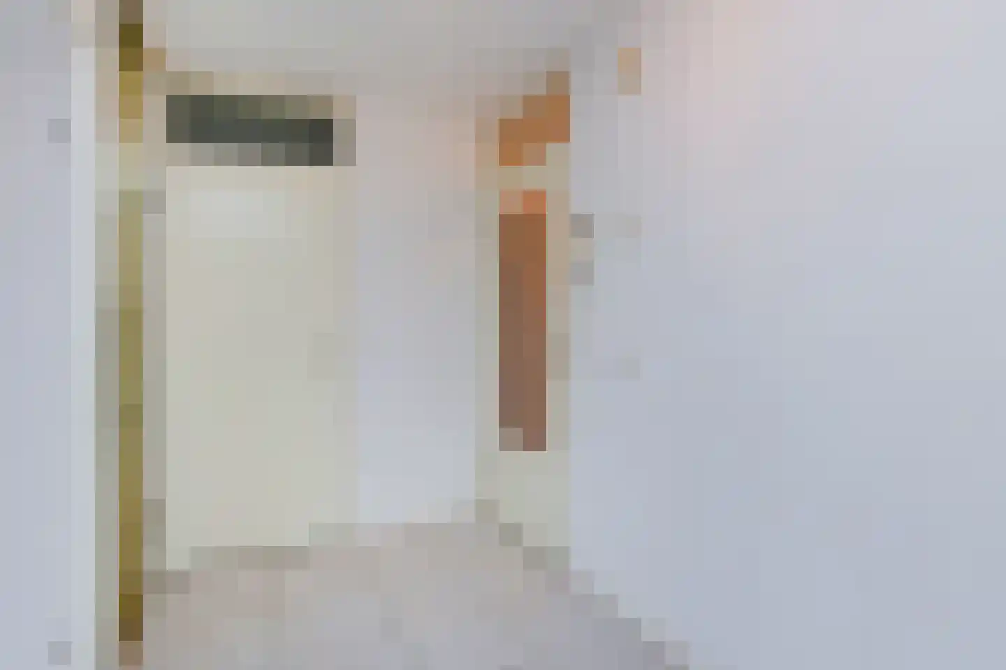 Dublinstraat 123 Zoetermeer thumbnail 12