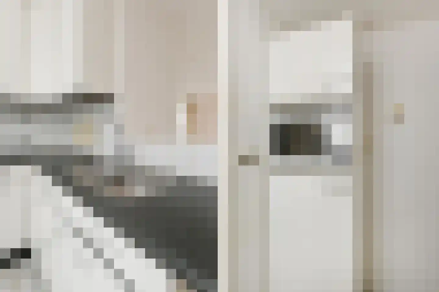 Dublinstraat 123 Zoetermeer thumbnail 15