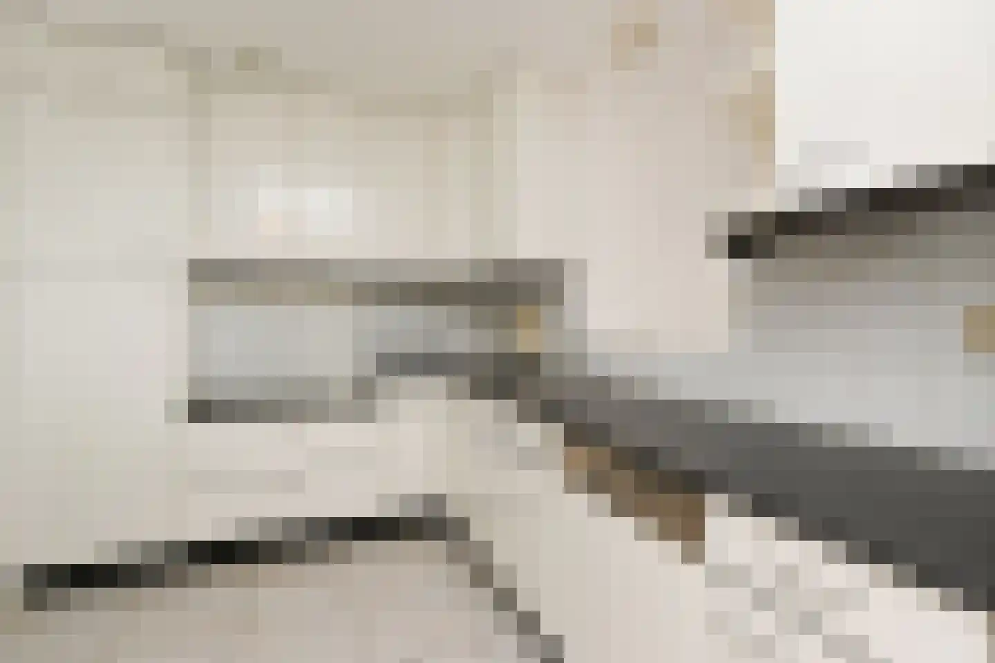 Dublinstraat 123 Zoetermeer thumbnail 16