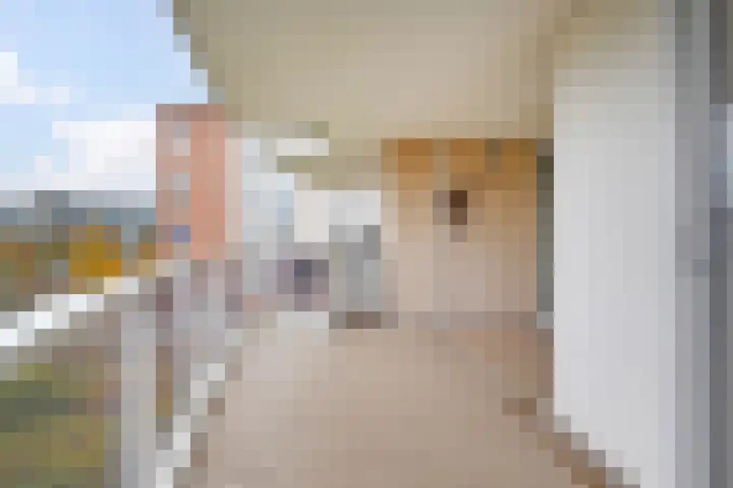 Dublinstraat 123 Zoetermeer thumbnail 20