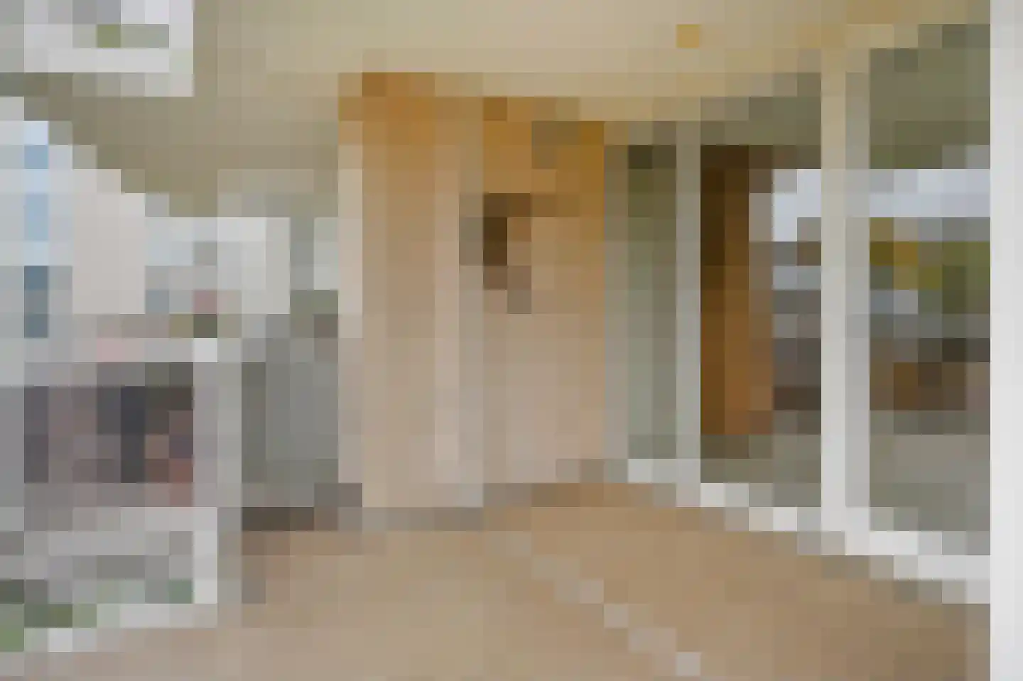 Dublinstraat 123 Zoetermeer thumbnail 22