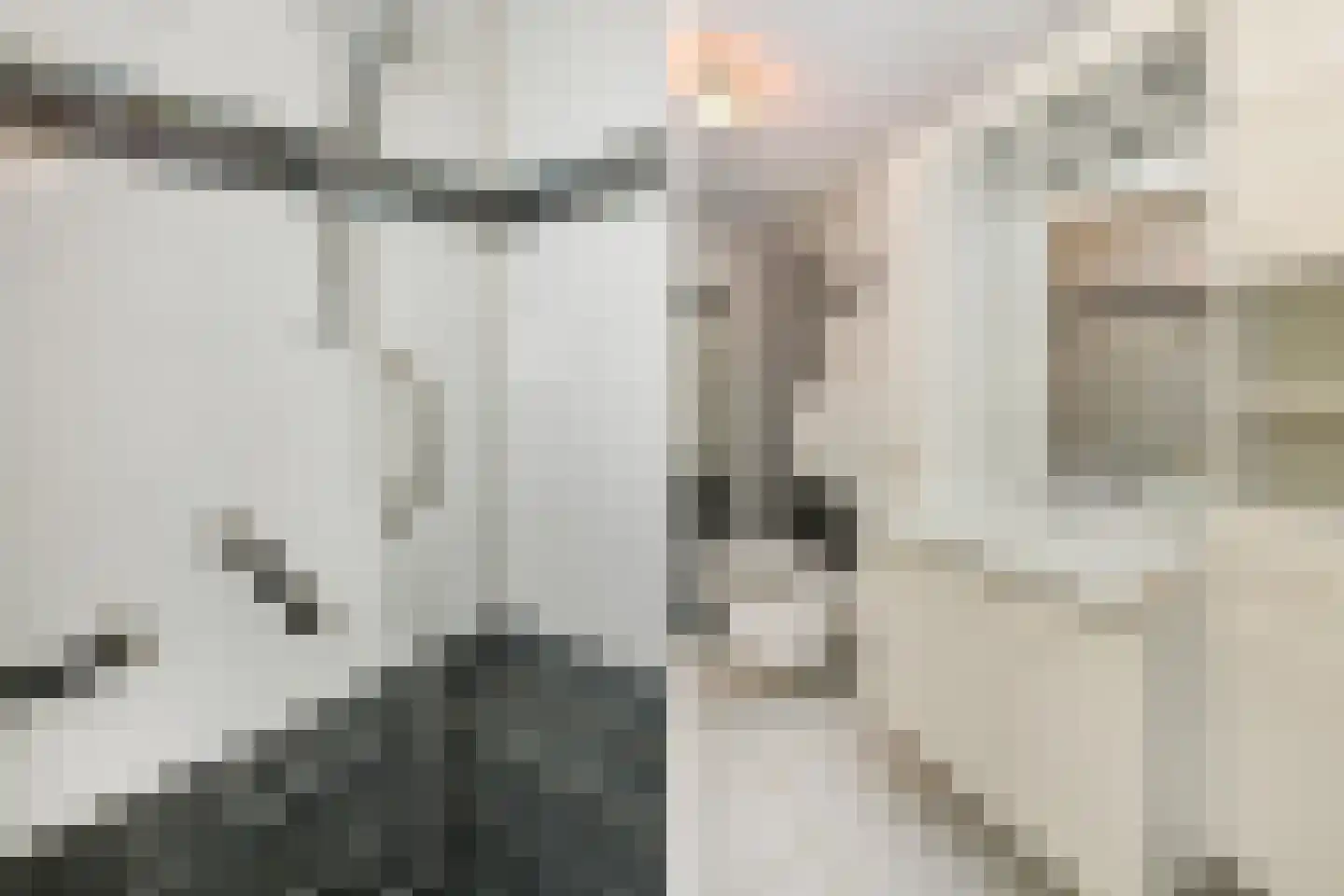 Dublinstraat 123 Zoetermeer thumbnail 35