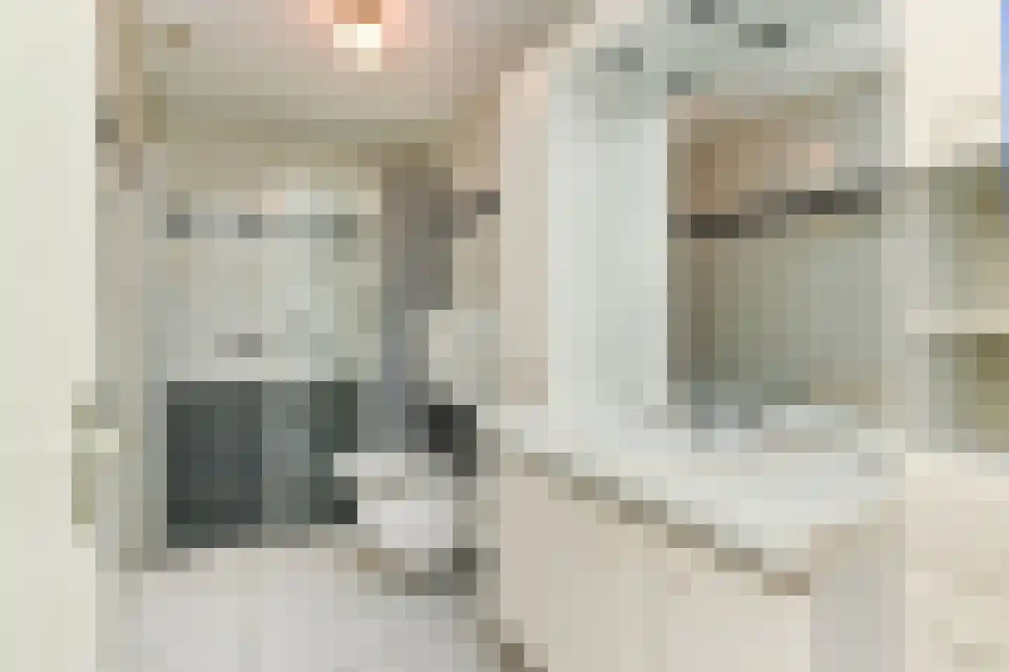 Dublinstraat 123 Zoetermeer thumbnail 36