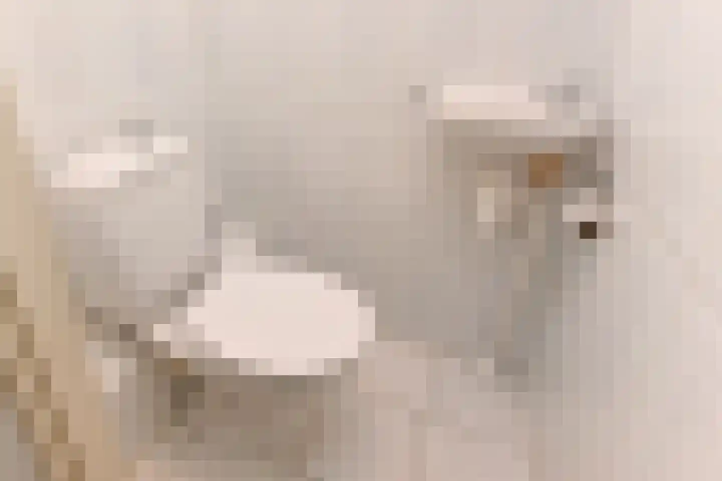 Dublinstraat 123 Zoetermeer thumbnail 37